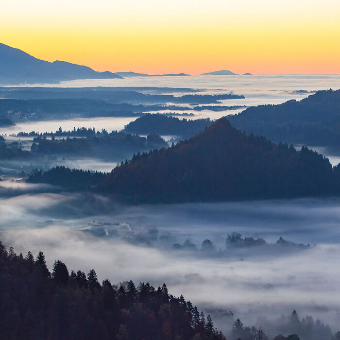 Story Title Adipiscing Sit Amet